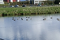 DSC00205